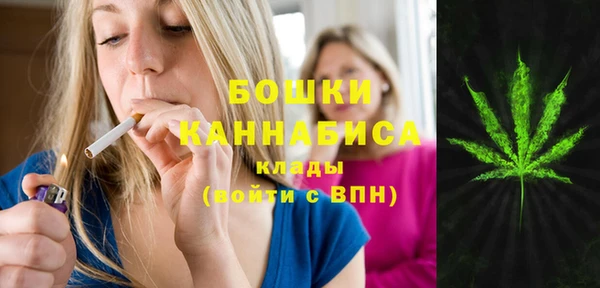 spice Бородино