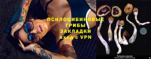 прущий лед Бугульма