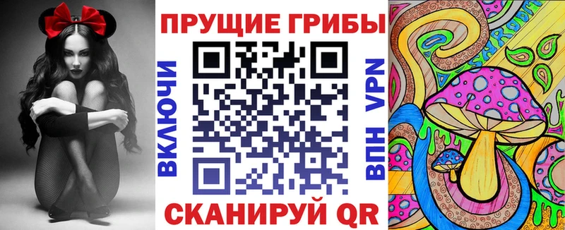 что такое наркотик Ессентуки Галлюциногенные грибы MAGIC MUSHROOMS